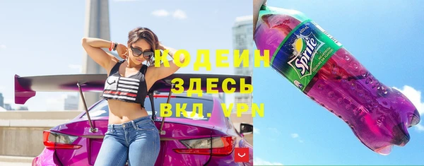 хмурый Бородино