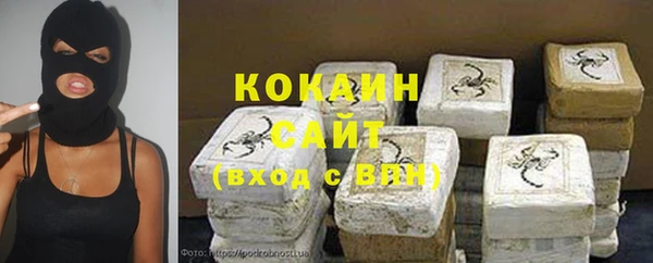 хмурый Бородино