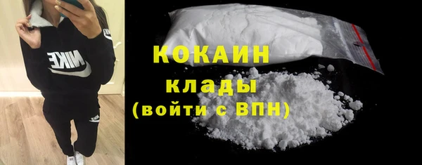 хмурый Бородино
