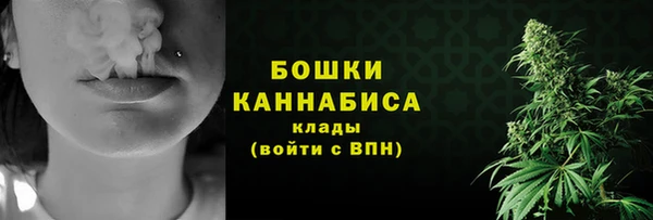 хмурый Бородино