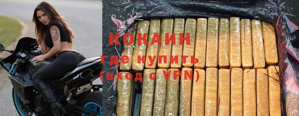 хмурый Бородино