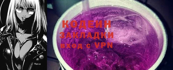хмурый Бородино