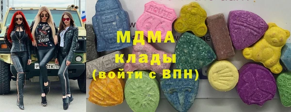 хмурый Бородино