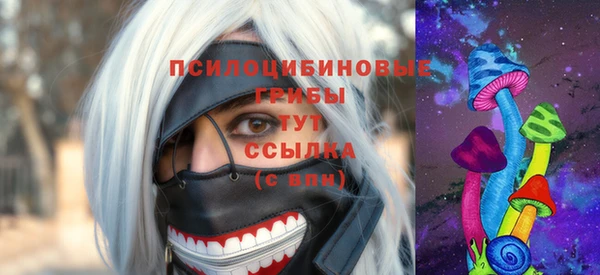 хмурый Бородино