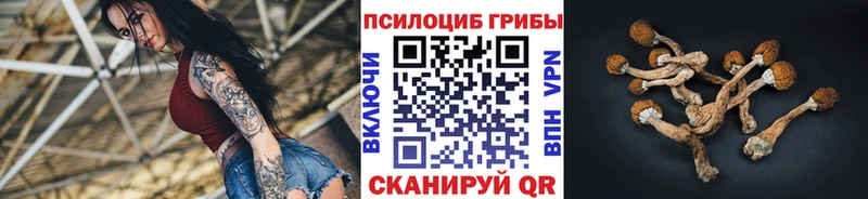 Купить закладки  Нелидово  Псилоцибиновые грибы мухоморы 